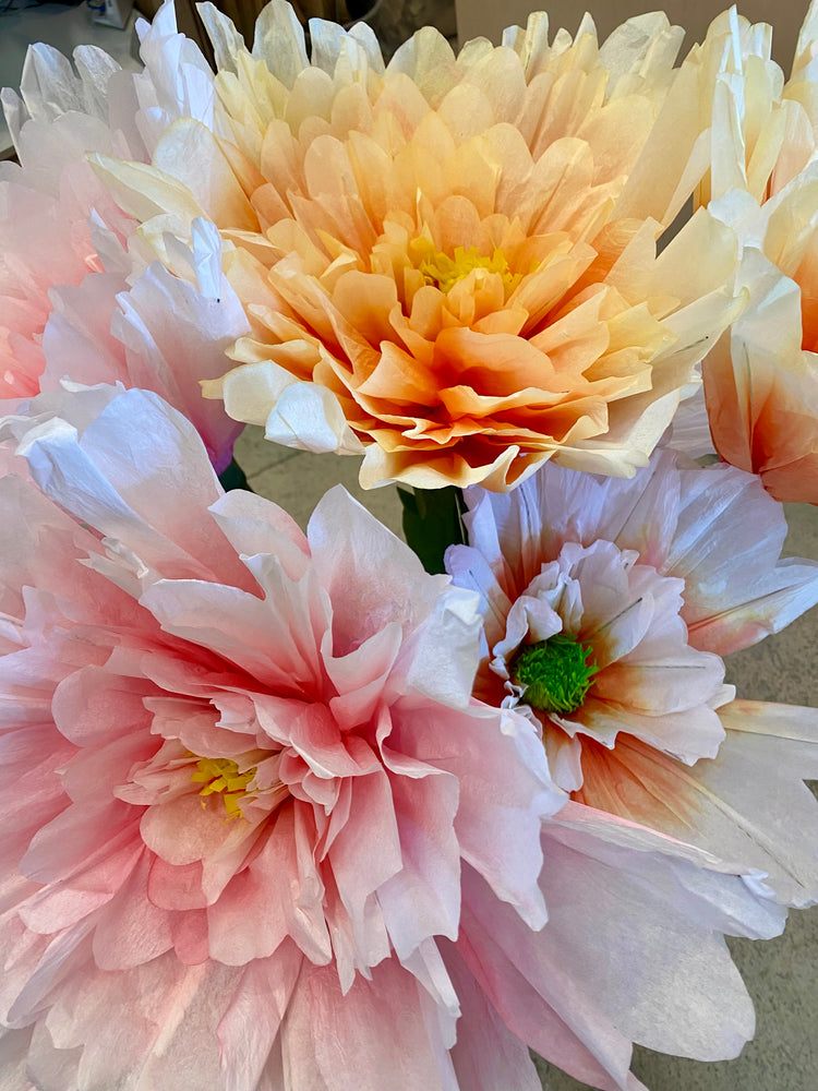 POPPY PAPER FLOWER